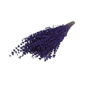 Boyanmış Kurutulmuş Lavanta Demeti 100 Dal